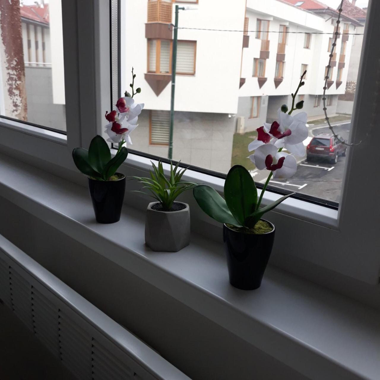 Lovely Apartment In Old Town 400M From City Center Sebilj Sarajevo Buitenkant foto