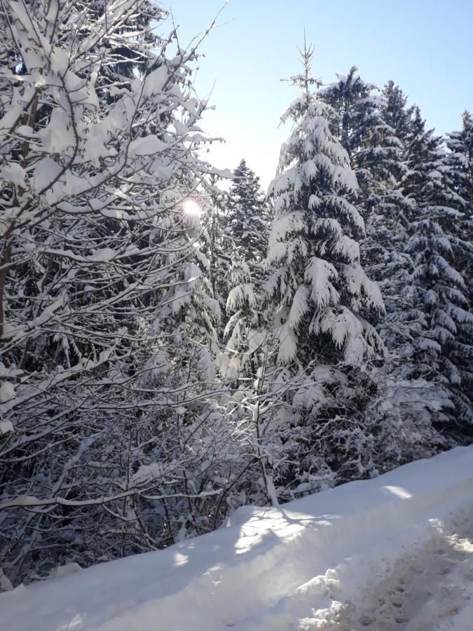 Lovely Apartment In Old Town 400M From City Center Sebilj Sarajevo Buitenkant foto